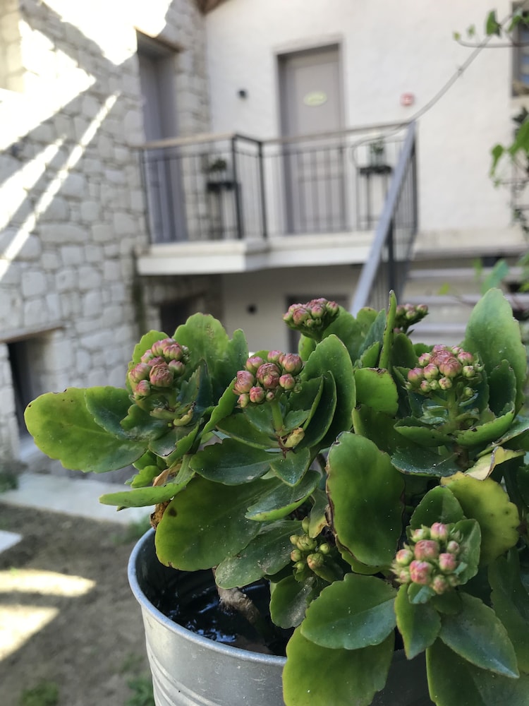 Alacati Cona Butik Otel 7/50