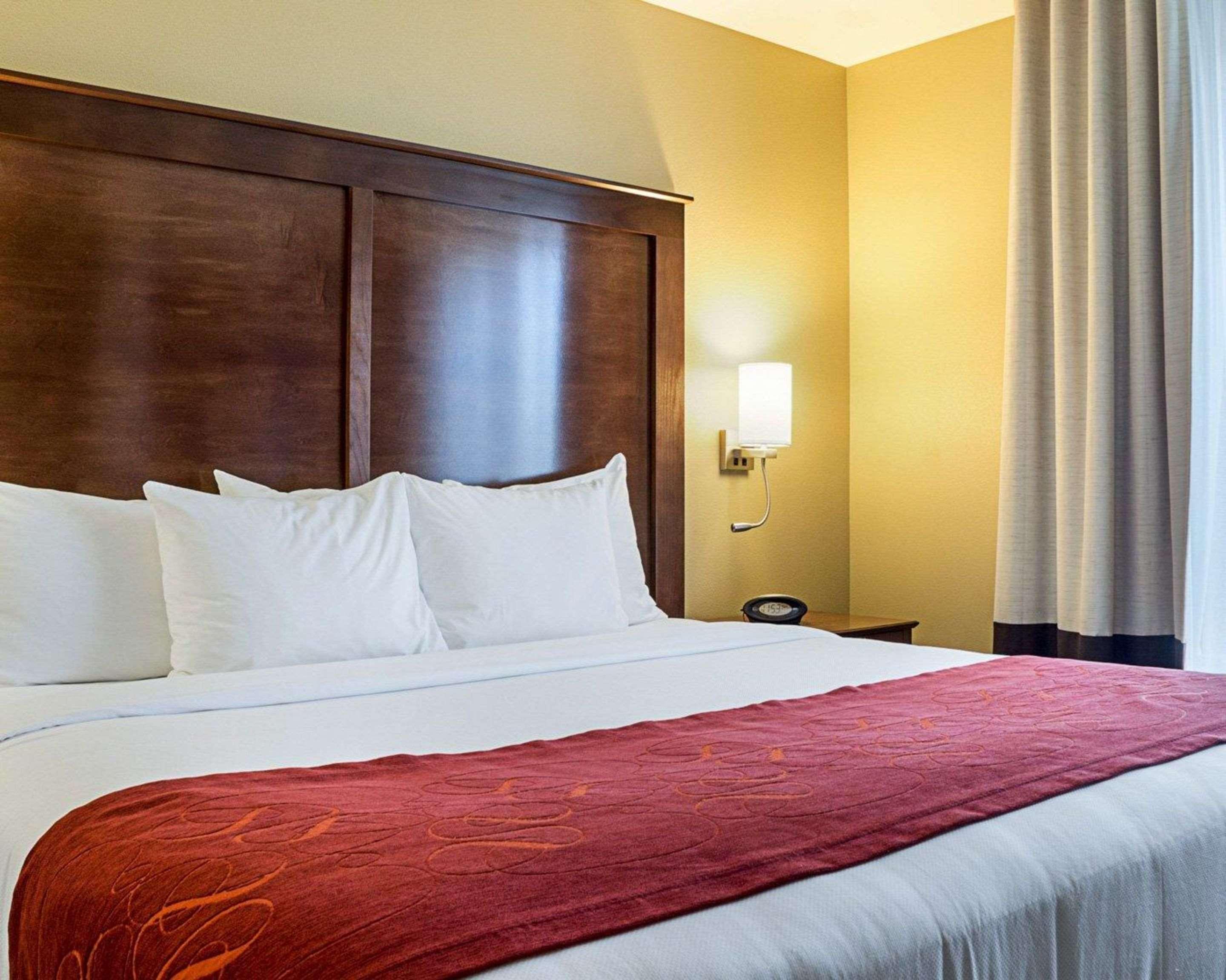 SUITE, KING BED