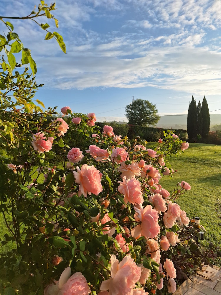 Anna Boccali Resort 40/49