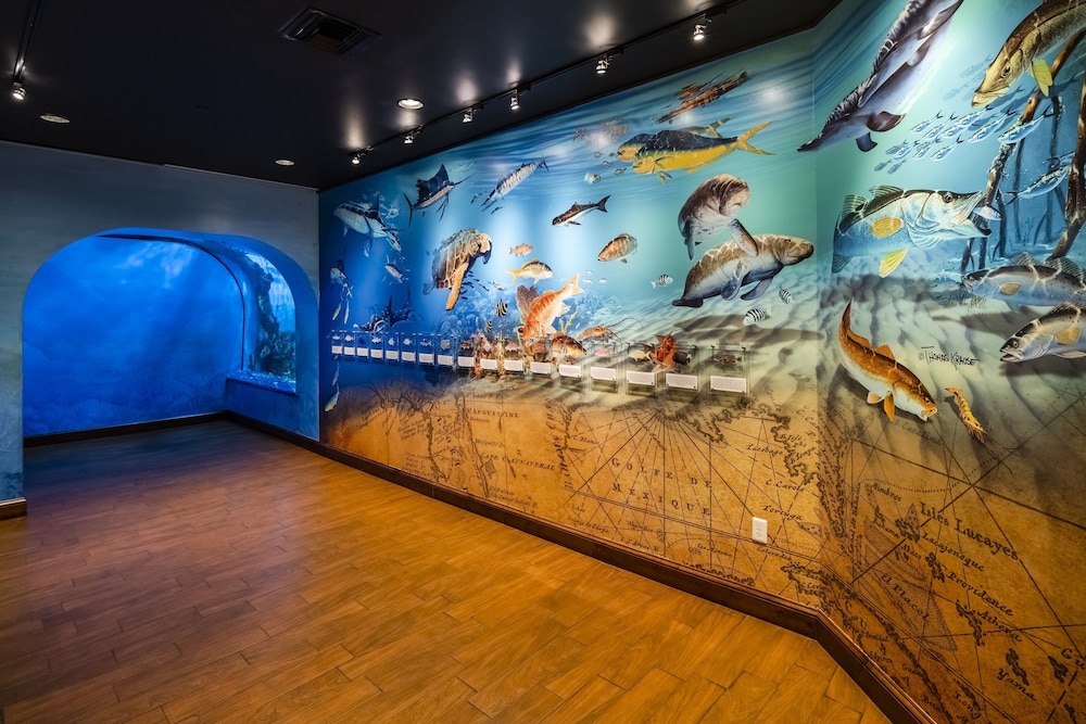 RumFish Beach Resort by TradeWinds 22/59