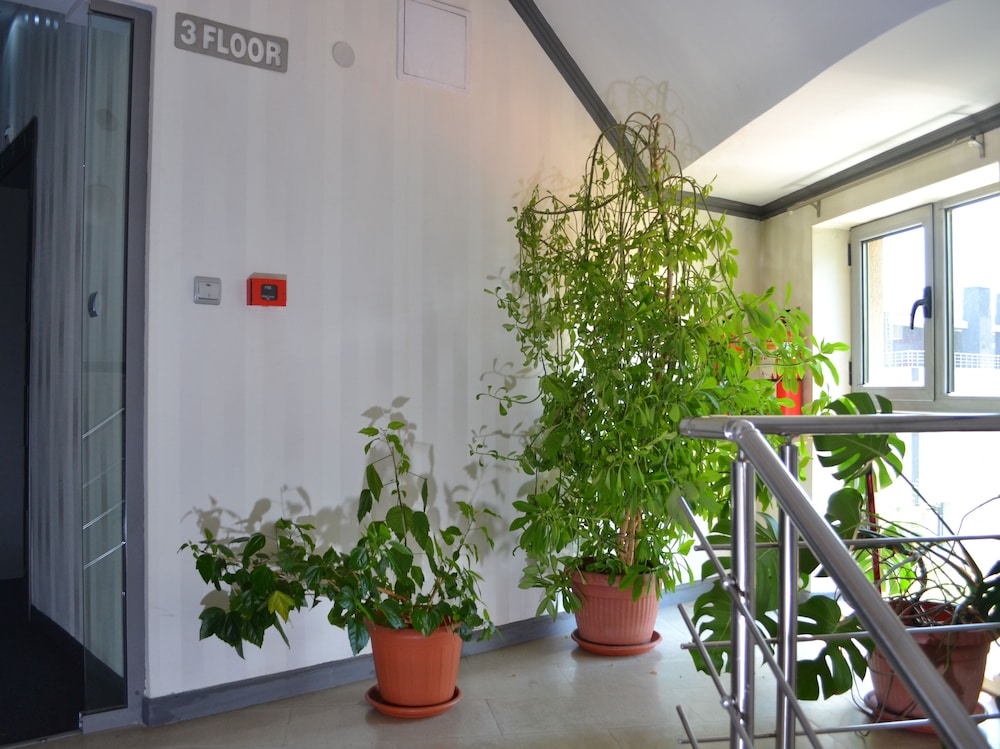 Business Hotel Elate Plaza 66/68
