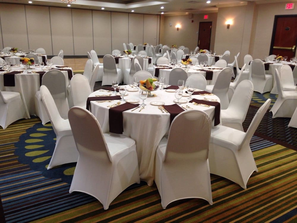 Holiday Inn Express & Suites Belleville (Airport Area) 44/50