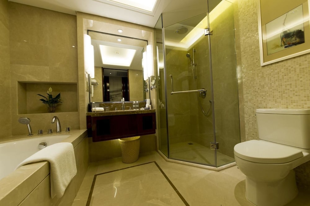 YANG PENG JINJIANG HOTEL 6/17