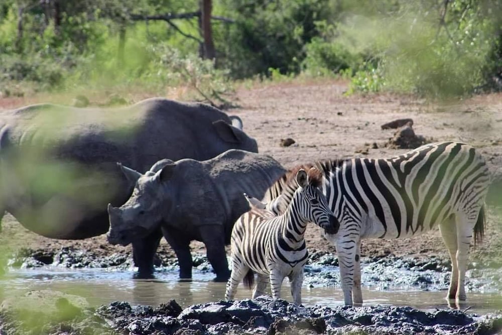 Amazulu Lodge 28/50