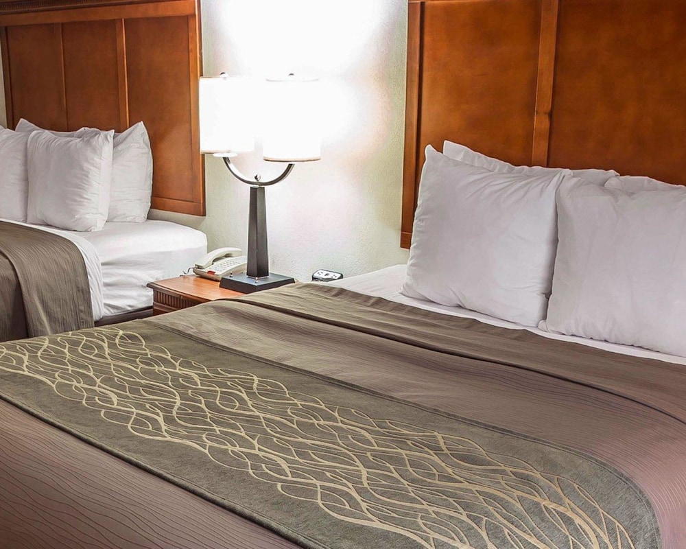 Comfort Inn & Suites Rogersville 18/37