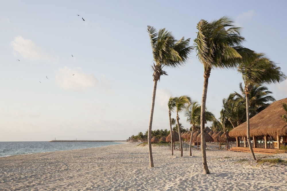 Finest Playa Mujeres - All Inclusive 69/74
