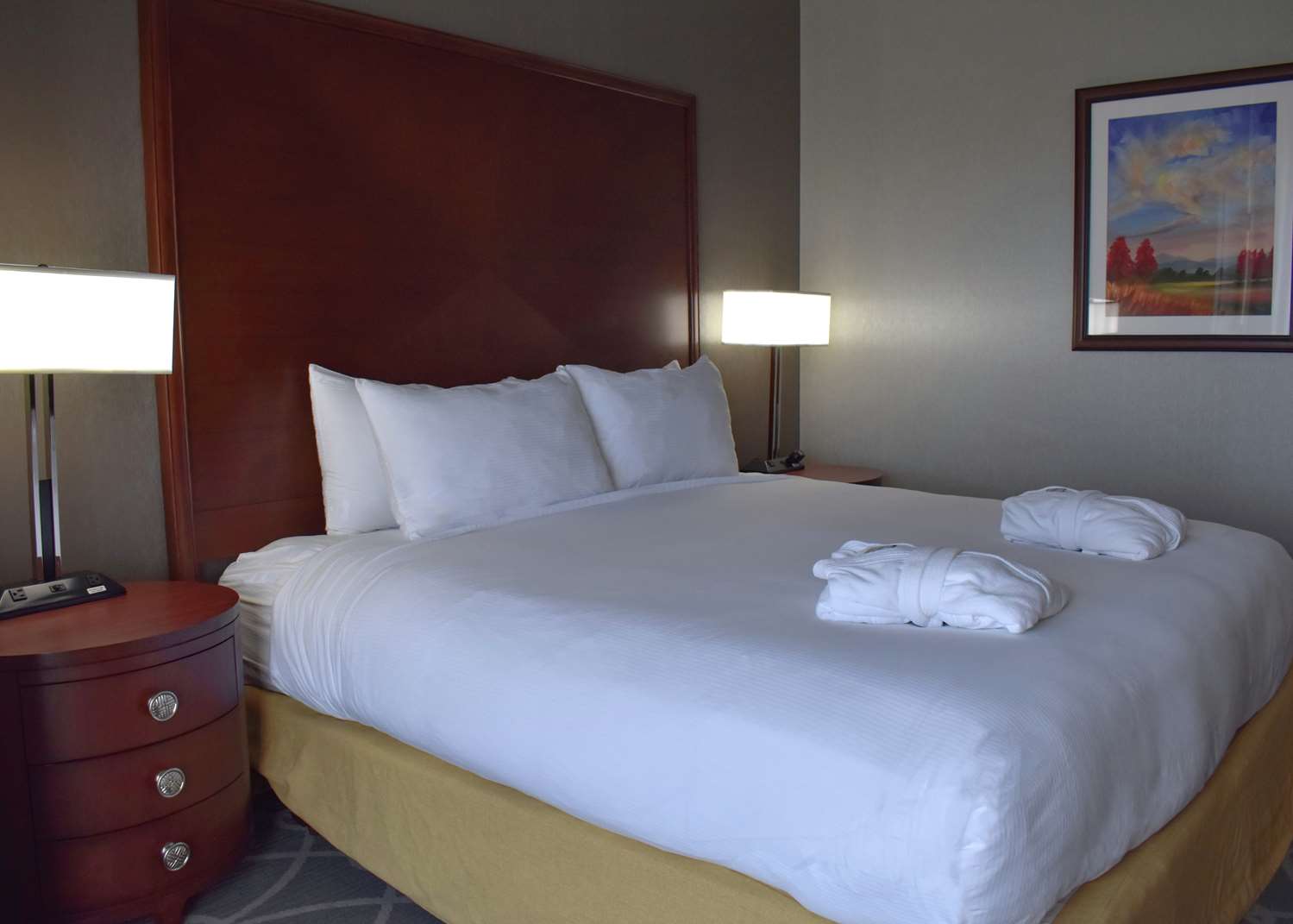 DoubleTree by Hilton Hotel Asheville Biltmore photo3