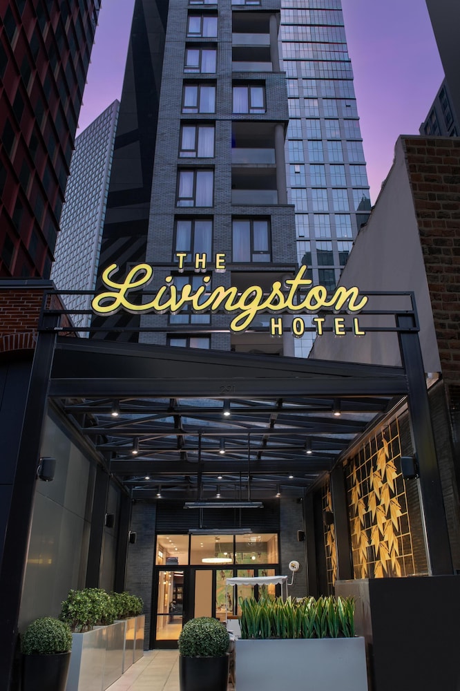 The Livingston, part of JDV by Hyatt 2/50