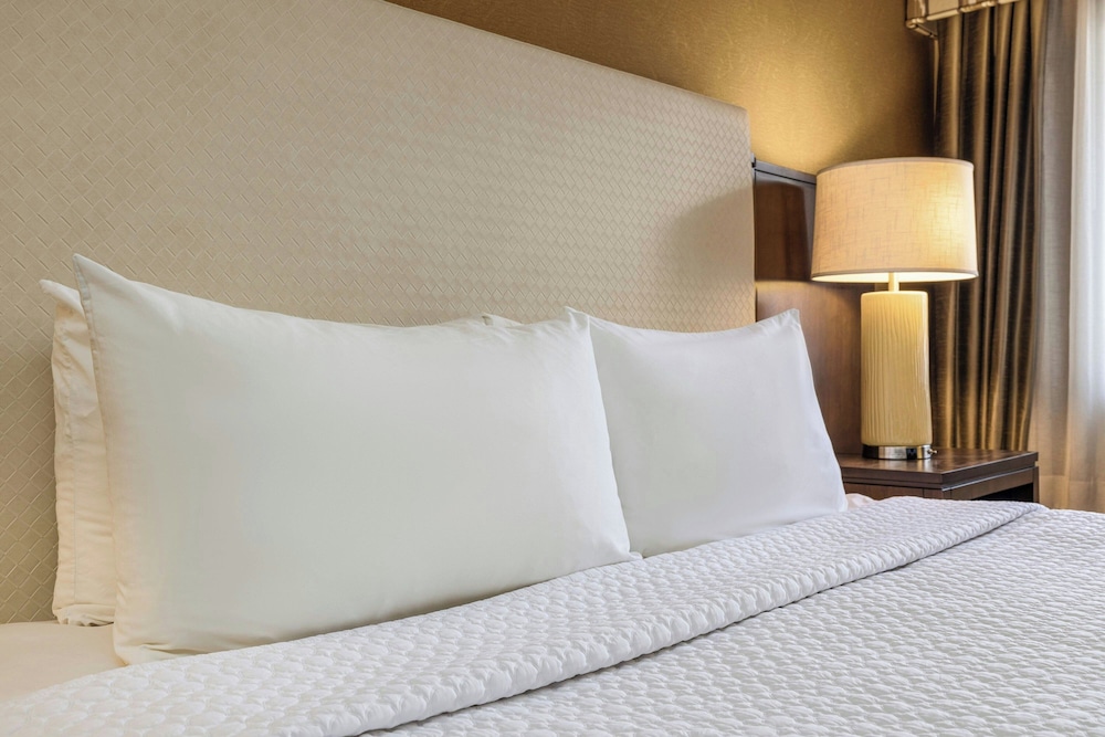 Crowne Plaza Dallas Near Galleria Addison 25/55