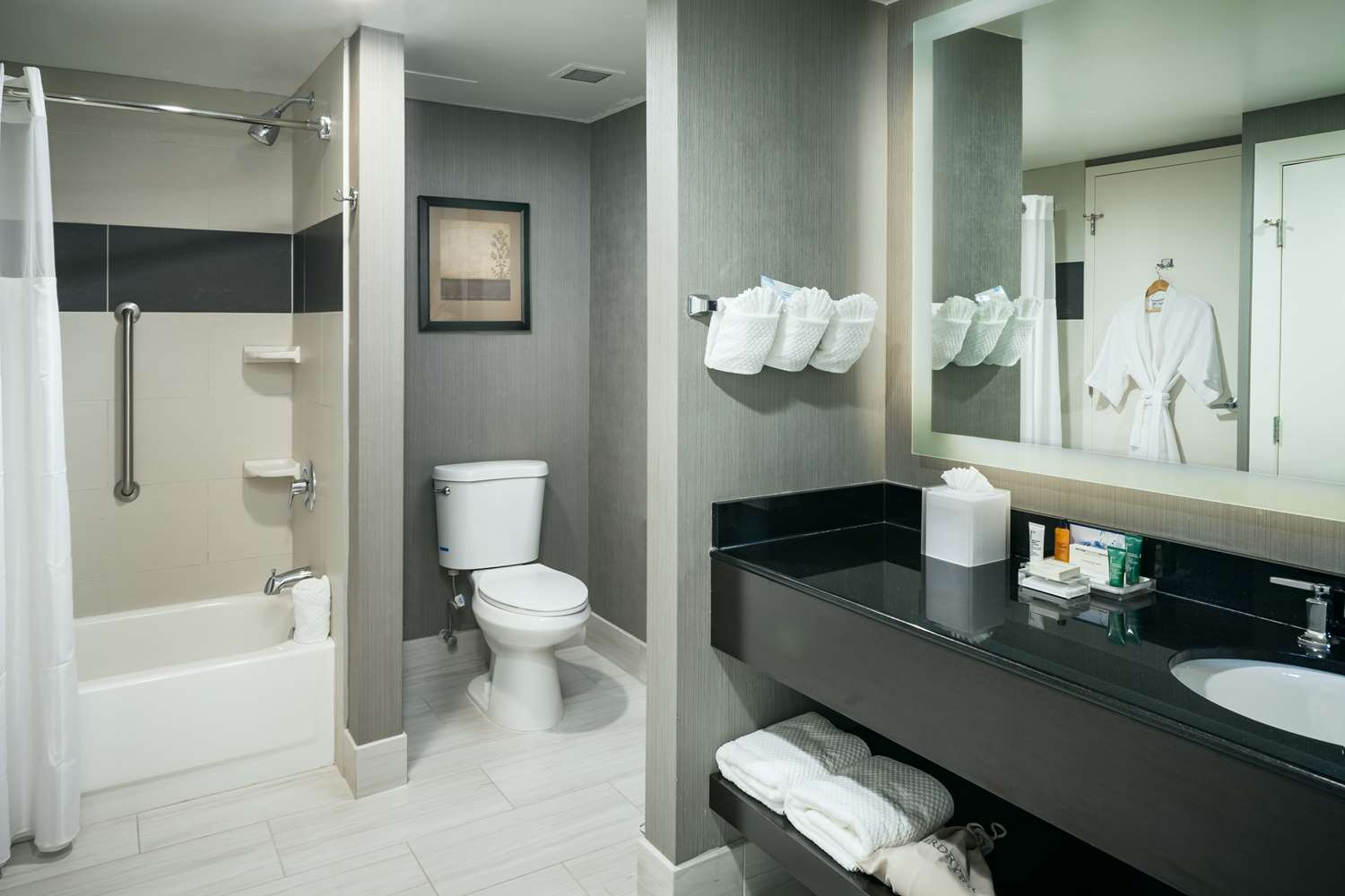 Suite, King Bed, Murphy Bed, City View
