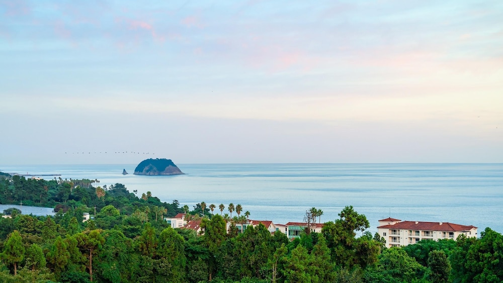 Jeju Inhouse Pension 44/53