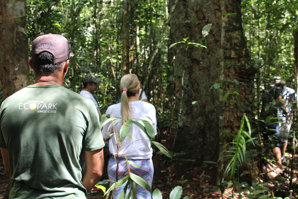 Amazon Ecopark Jungle Lodge 42/50