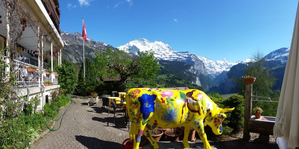 Hotel Bellevue Wengen 33/50