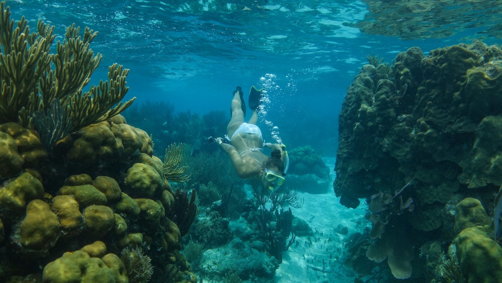 Ranguana Caye Cabanas 41/50