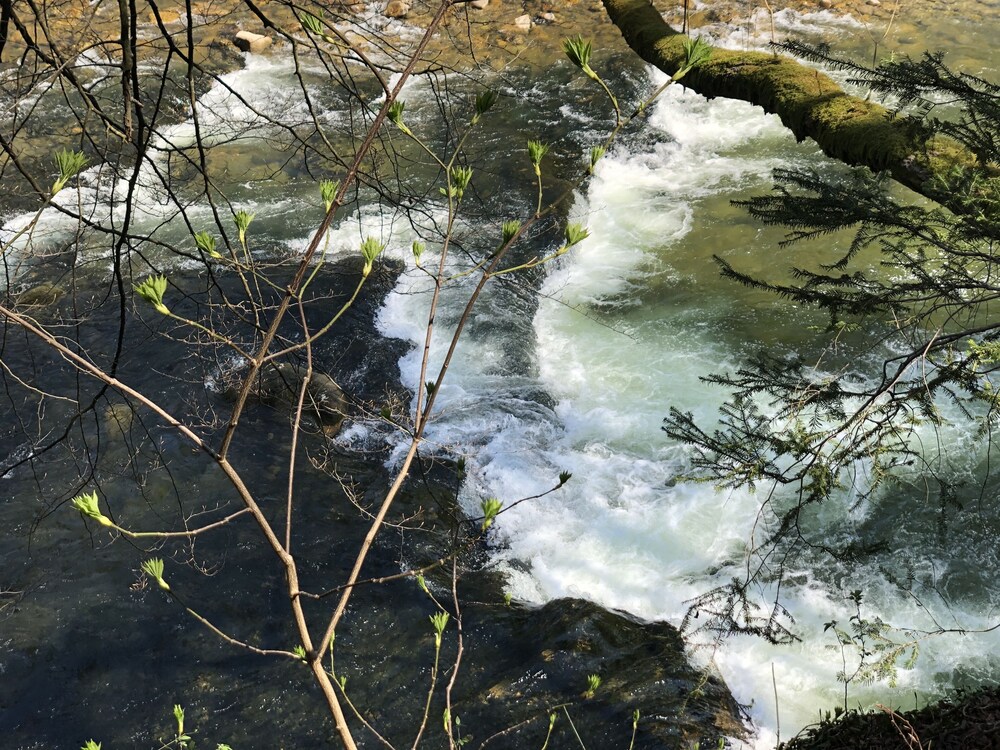 Pia's Nature Retreat 21/50