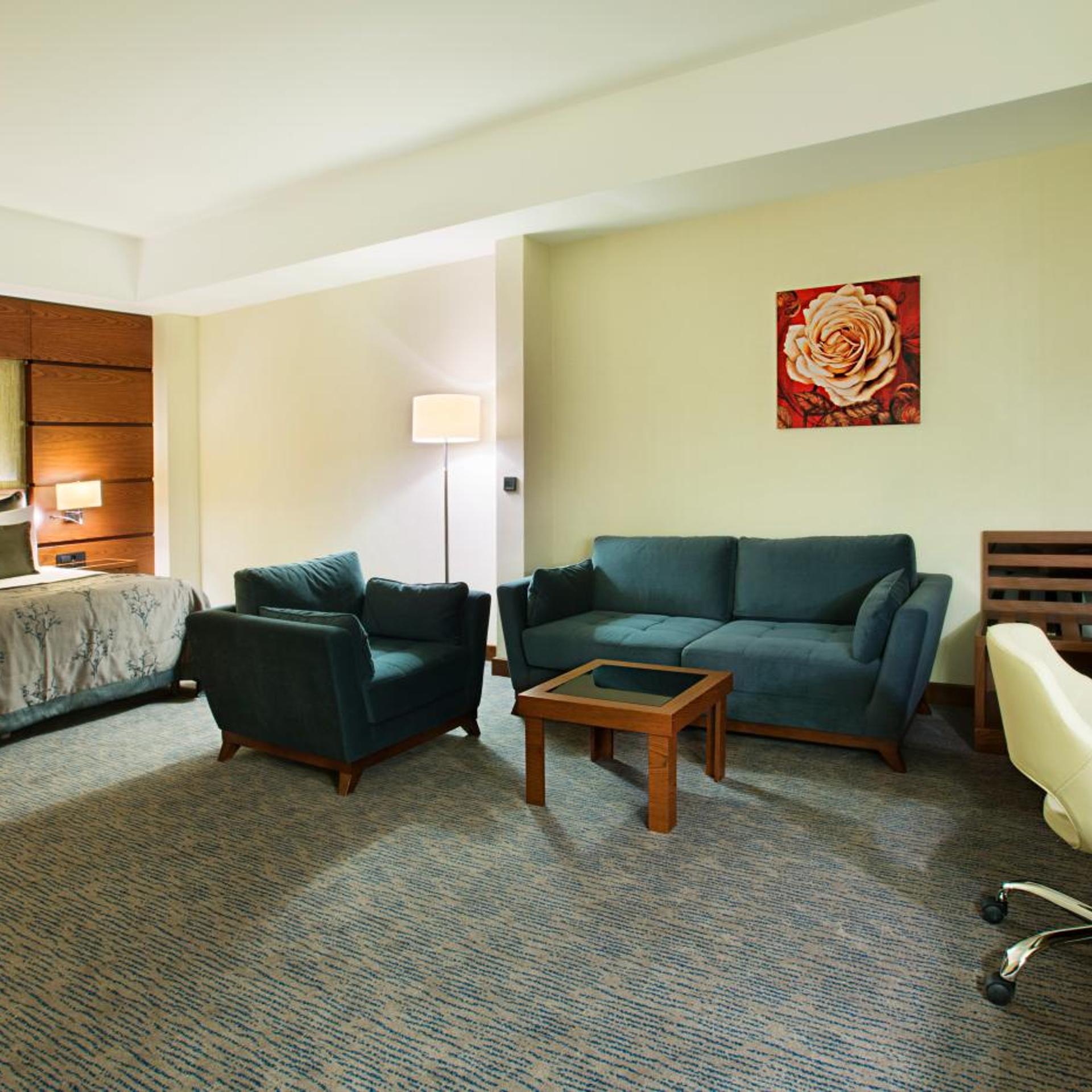 Dedeman Erbil Hotel 42/64