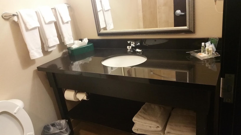 Holiday Inn Temple-Belton 32/69
