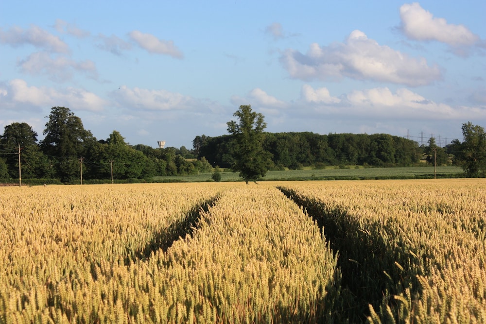 Manor Farm Bed & Breakfast 37/45