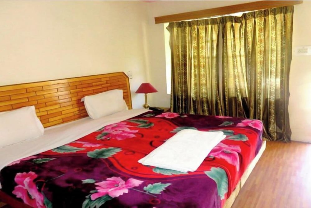 Hotel Abu Palace 22/49