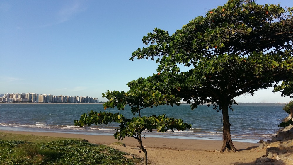 Onça Da Praia Hostel 44/50