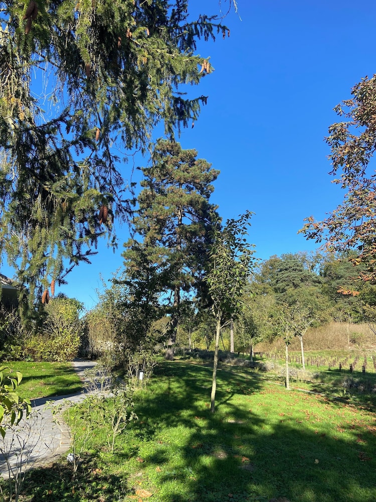 CHATEAU DE FERE HOTEL 33/50