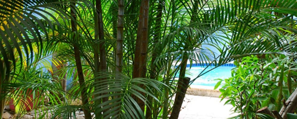Caribbean Flower Apartments 36/38