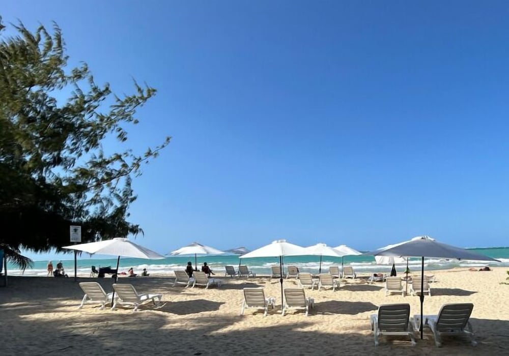 The Pelican Poshtel 47/50