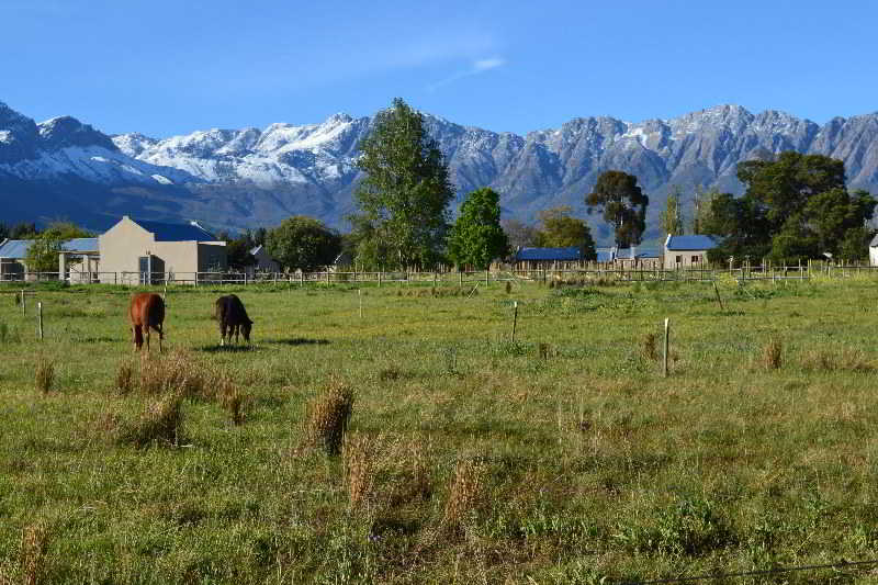 Saronsberg Vineyard Cottages 34/47