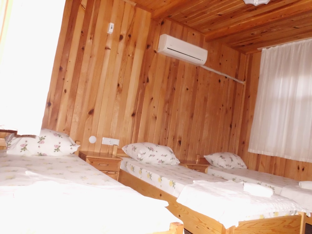 Olympos Orange 20/50