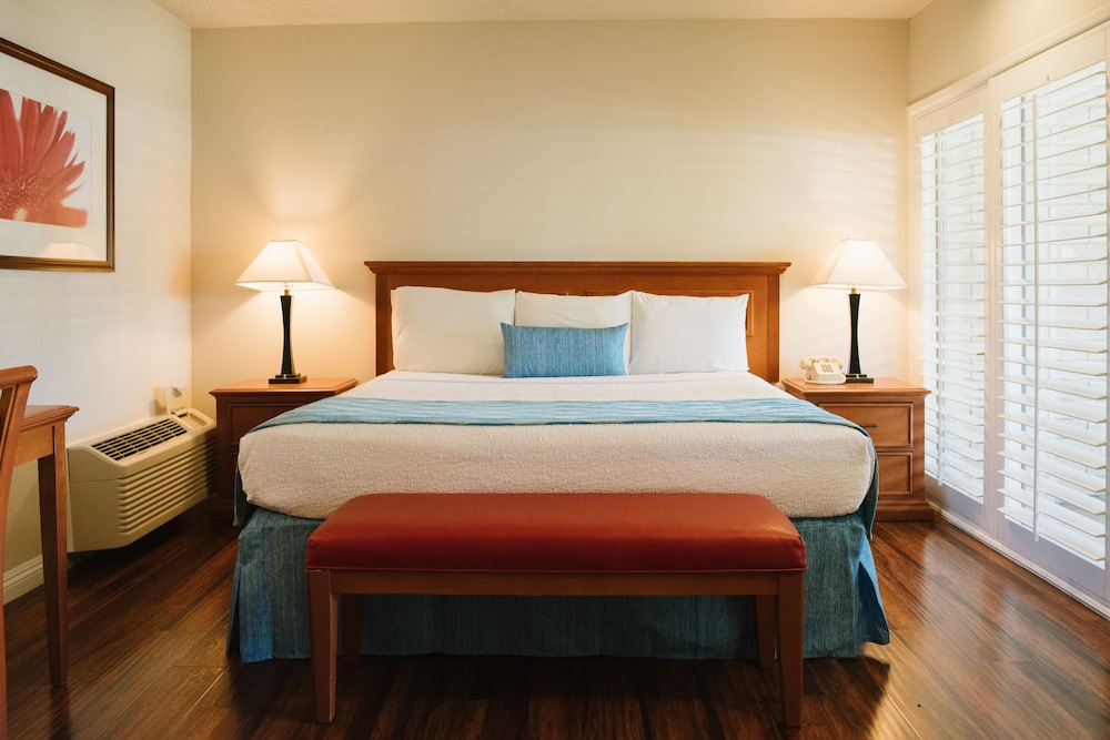 Alamo Inn Suites 35/61