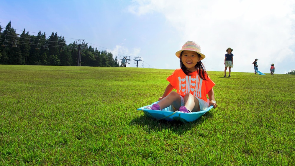 HOTEL HARVEST SKI JAM KATSUYAMA 45/72