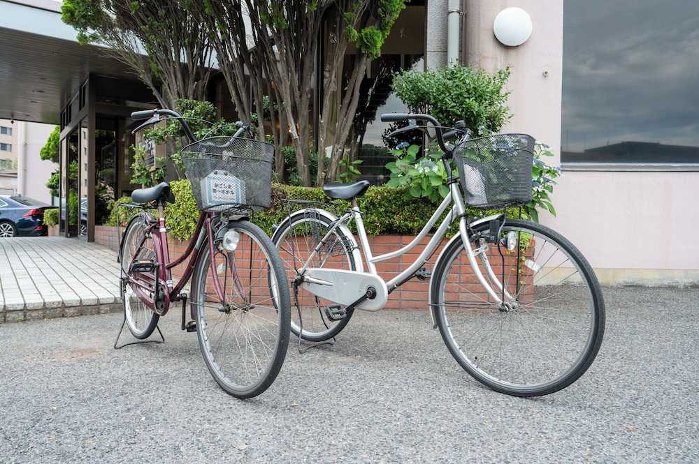 Kagoshima Daiichi Hotel Kamoike 35/45