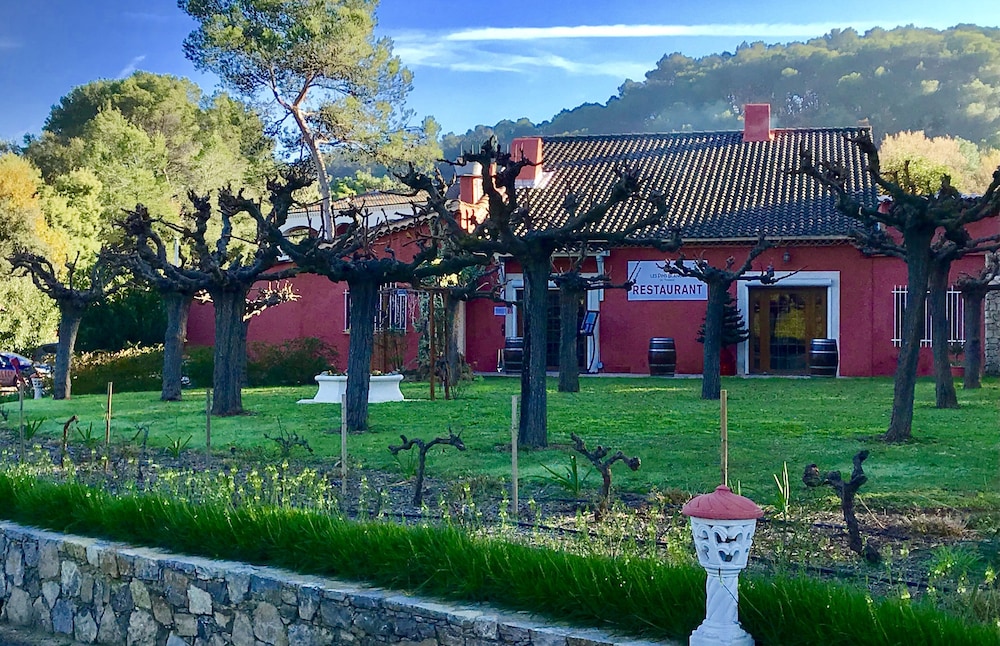 Les Pins Blancs de Provence 49/50