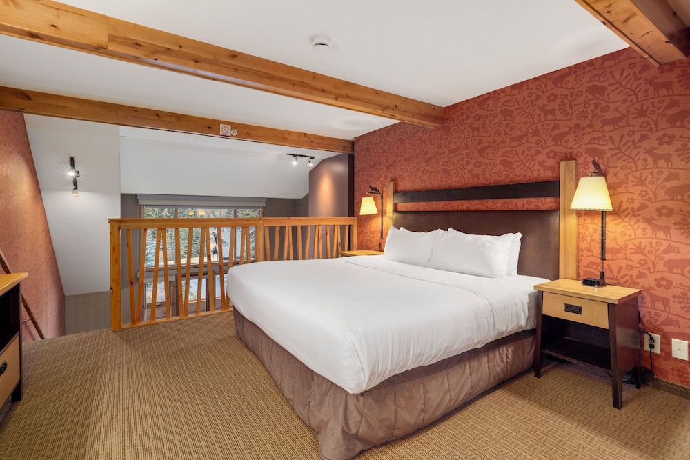 Fox Hotel & Suites 29/63