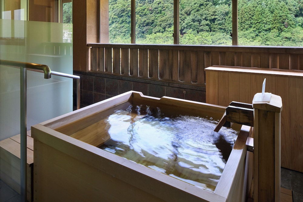 Shogawa Onsen Furyu Midou Zashiki Yumetsuzuri 17/32