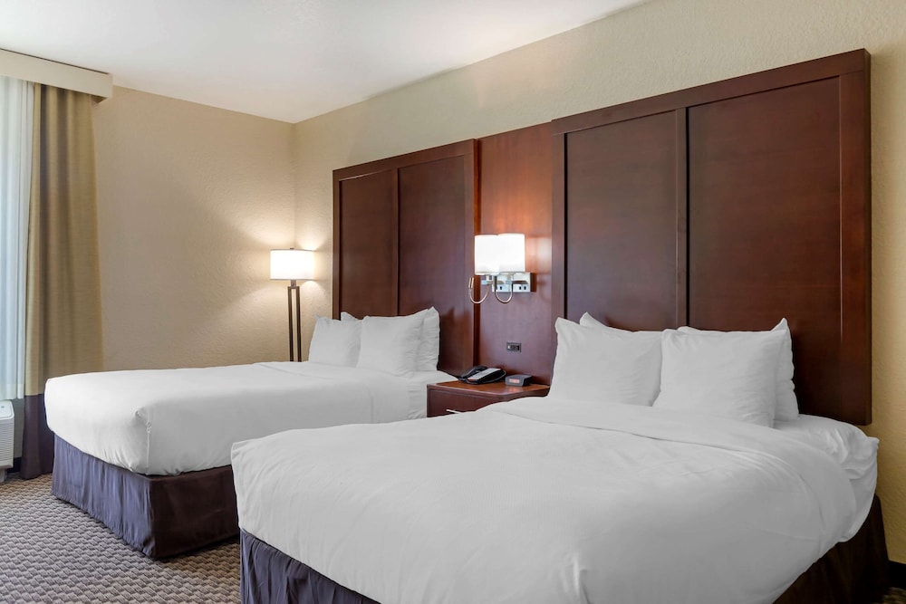 Comfort Inn & Suites Near Six Flags & Medical Center 13/36