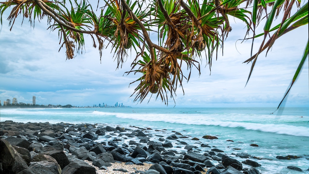 Sofitel Gold Coast Broadbeach 63/66