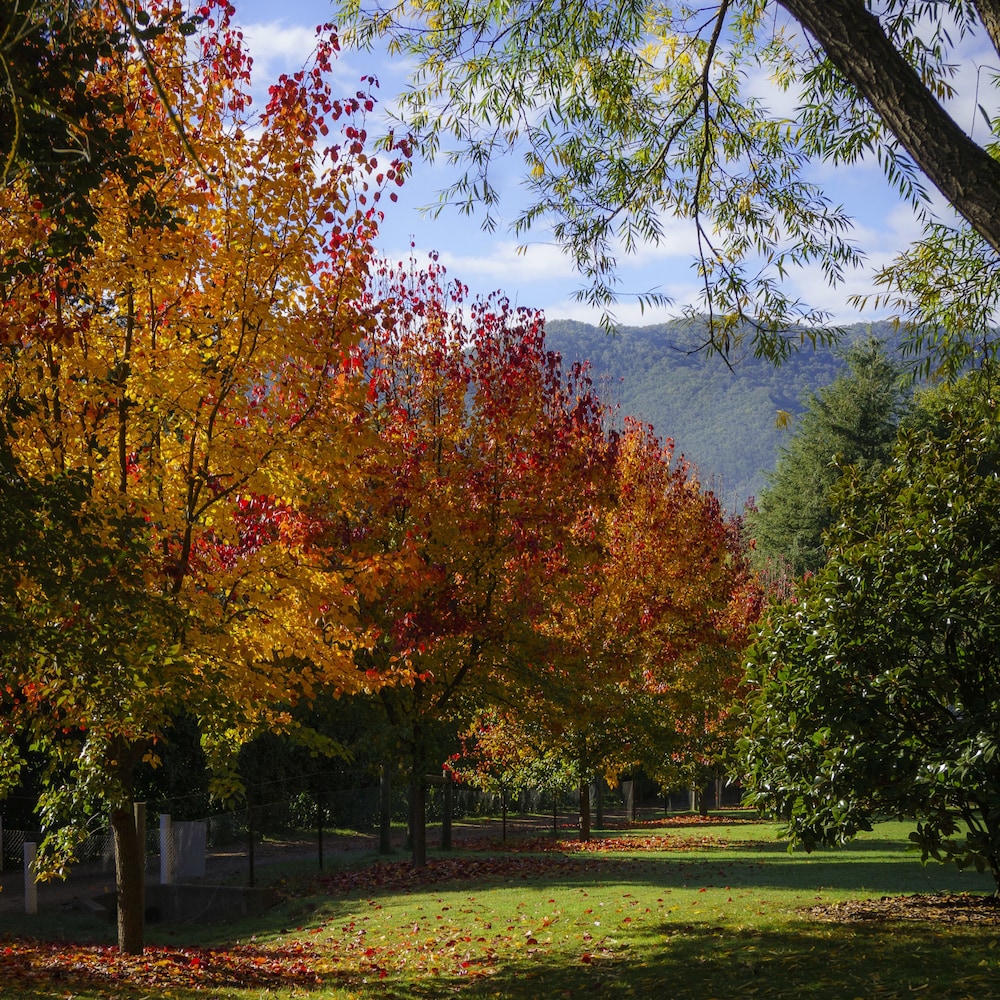 BRIGHT MYSTIC VALLEY HOLIDAY UNITS 35/47