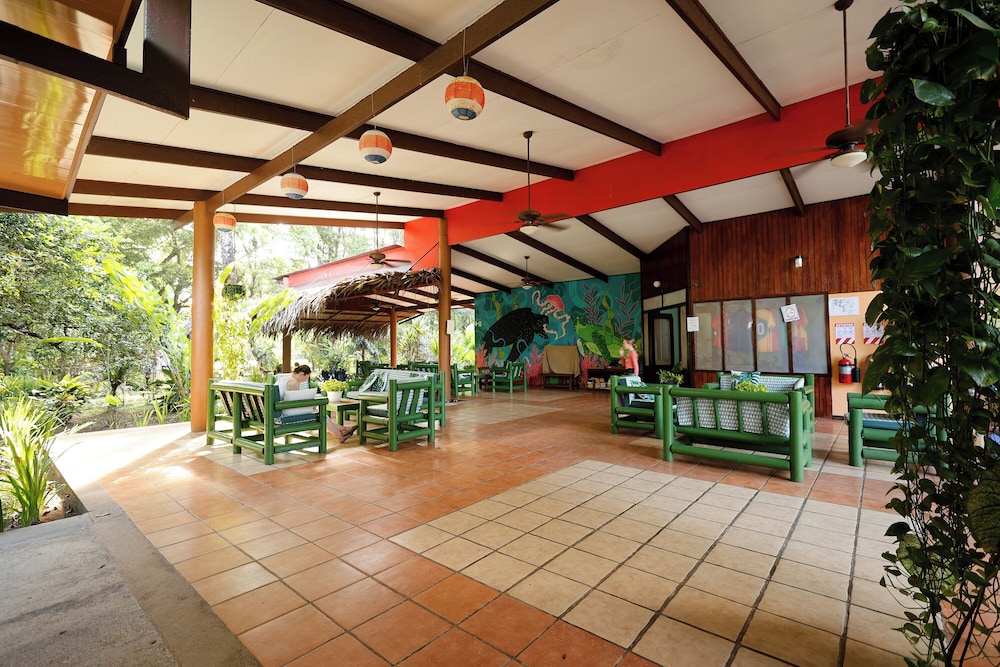 Turtle Beach Lodge 8/50
