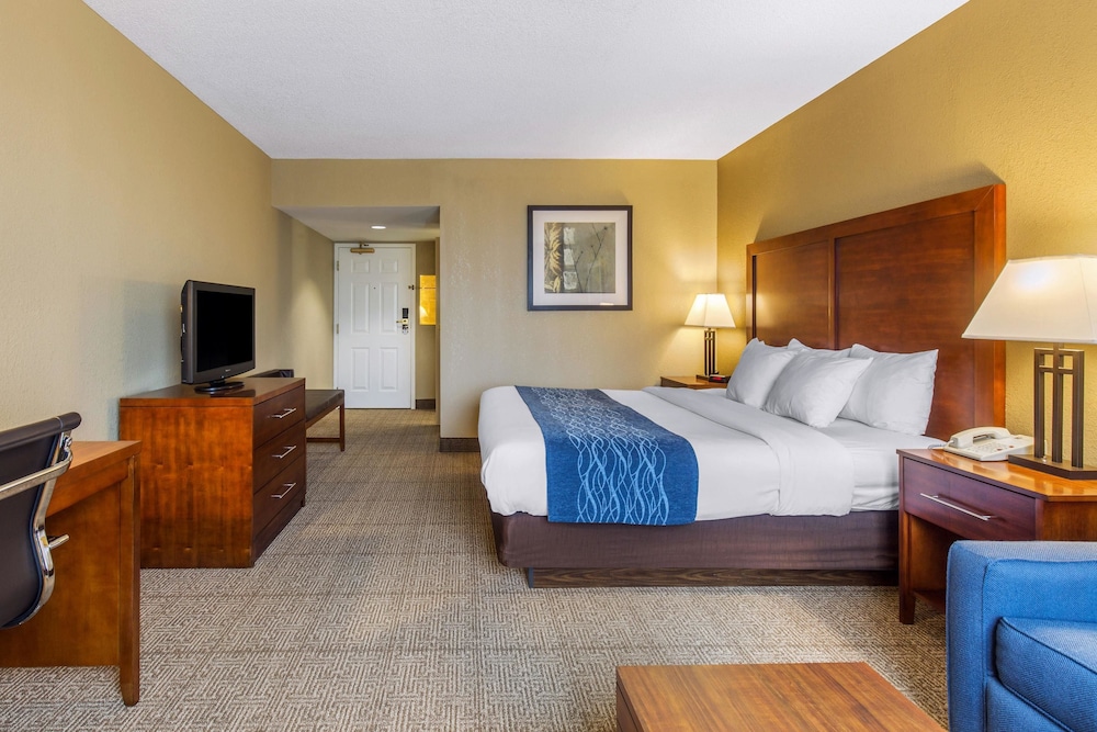 Comfort Inn Conference Center 8/35