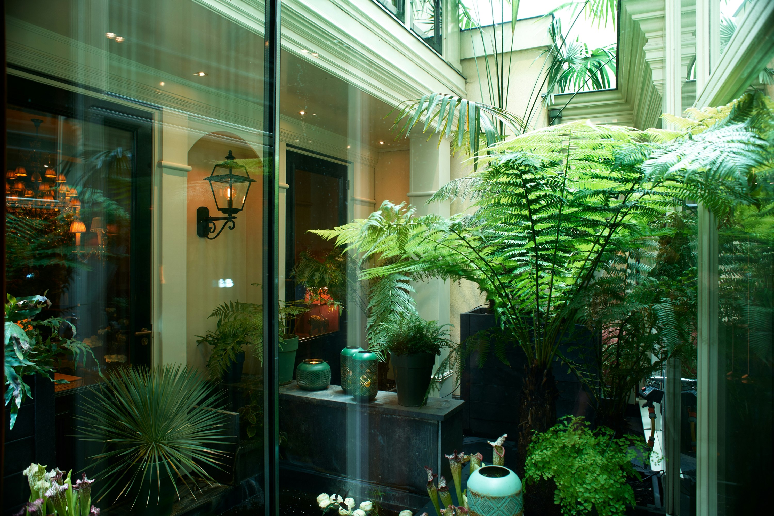 Estherea in AMSTERDAM