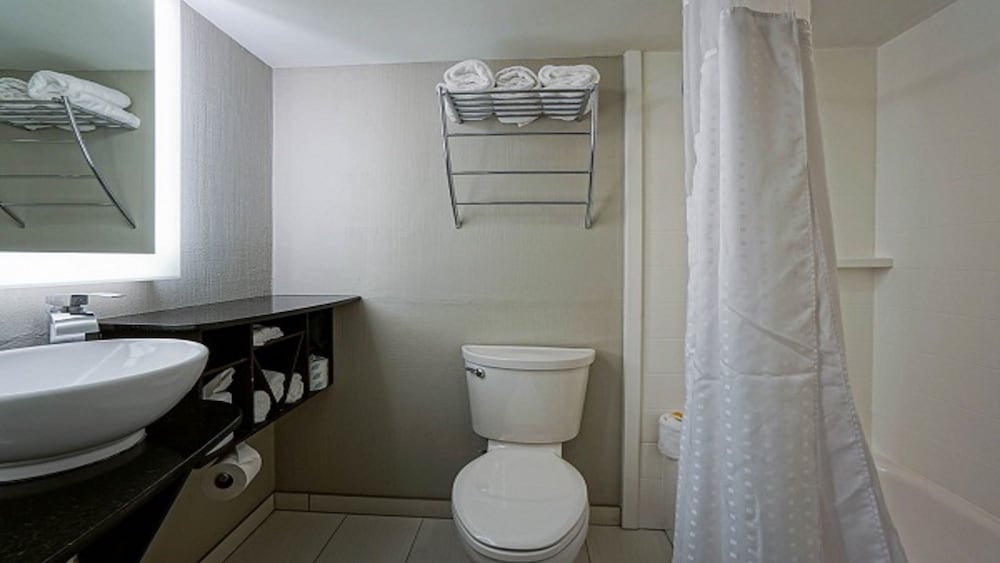 Holiday Inn Manhattan At The Campus 15/44