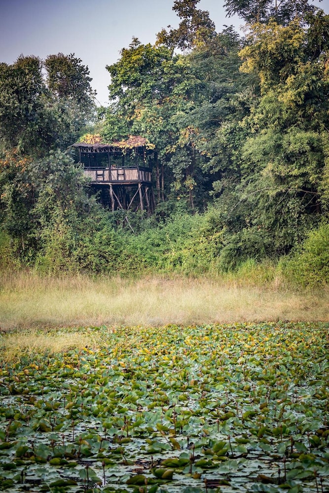 TREE HOUSE HIDEAWAY 40/50