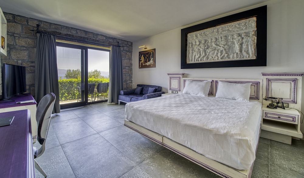 Assos Dionysos Hotel - Adults Only 14/49