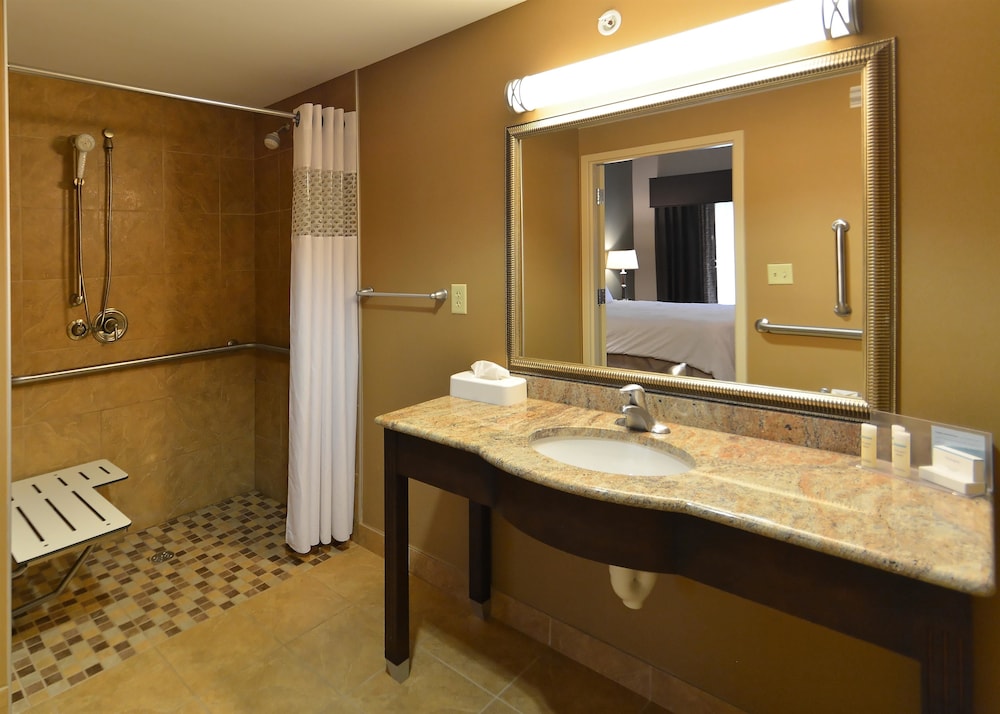 Hampton Inn Geneseo 20/54