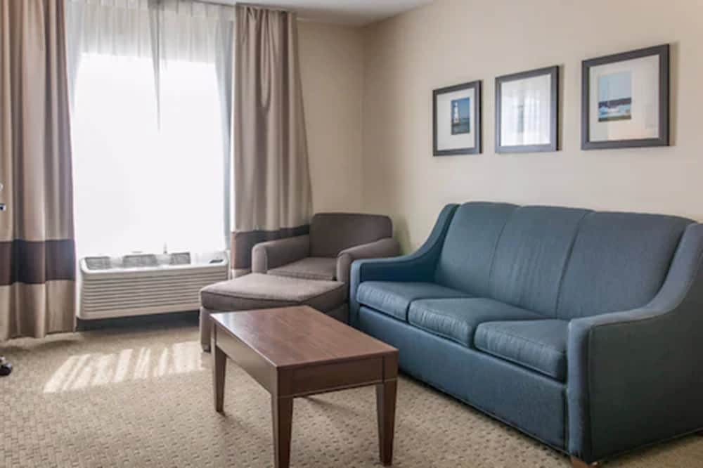 Comfort Suites Wixom - Novi 22/32