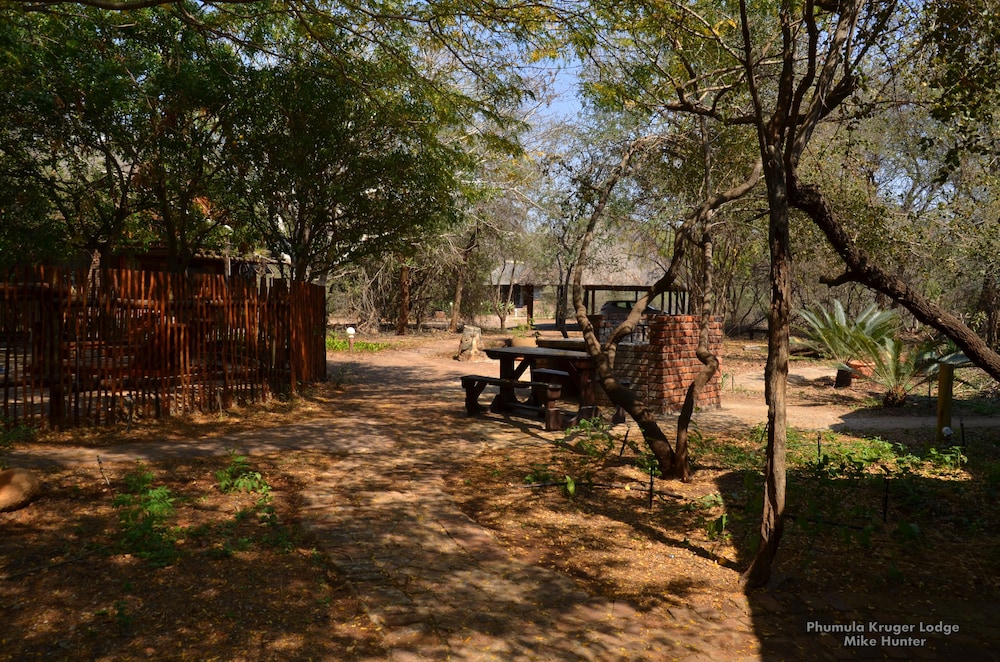 Phumula Kruger Lodge 53/66
