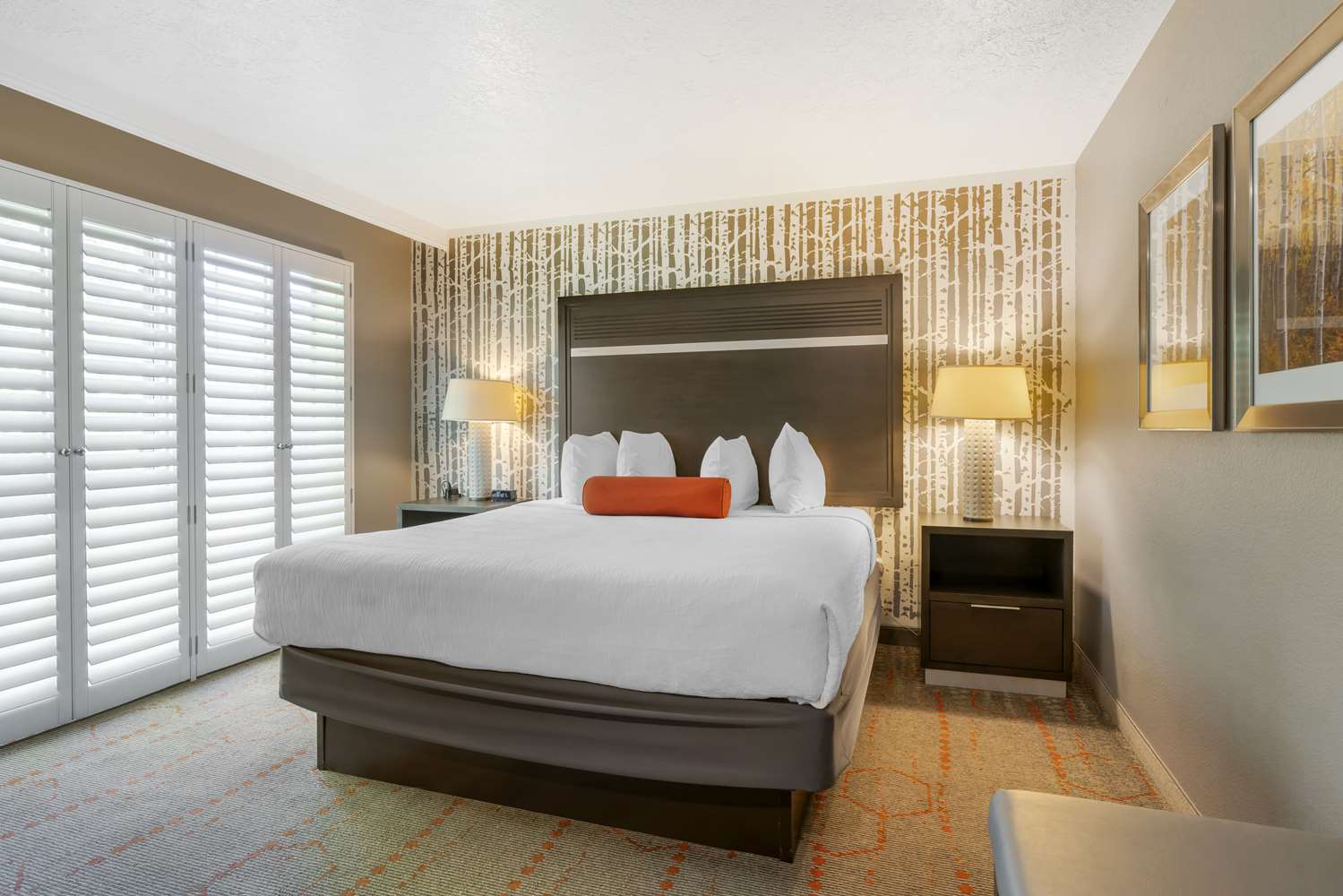 Suite, King Bed, Sofa, Pet Friendly