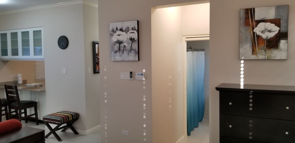 New Kingston Guest Apartment At Eight 11/26