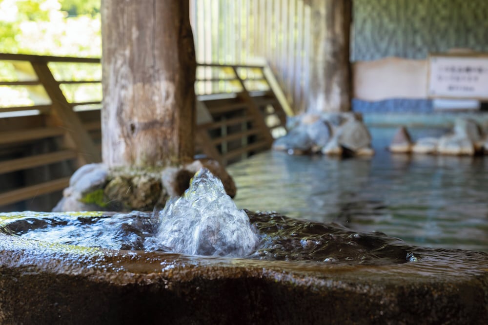 Shin Appi Onsen Seiryukaku 27/59